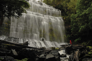 Where is Tasmania found in The Hunter