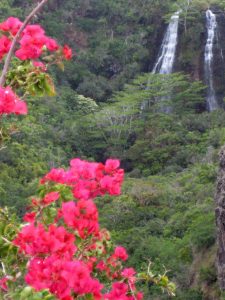 Hiking in Hawaii