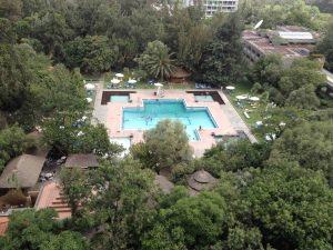 Top Hotels in Addis Ababa