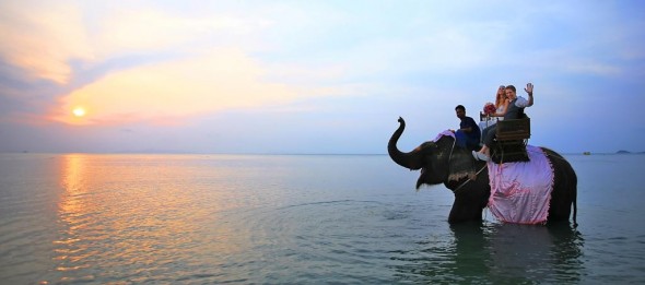 Travel to Koh Samui, wedding