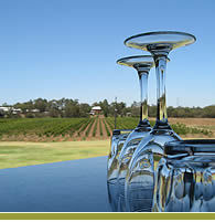 Wine tasting in South Australia