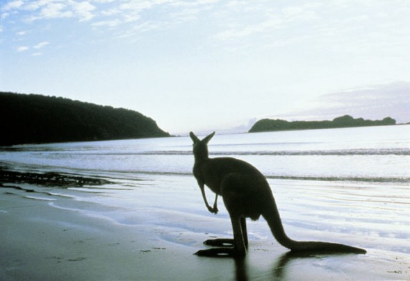 Kangaroo Island South Australia