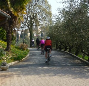 Bicycle tours in Italy