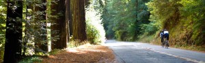 bicycling in Calif wine country