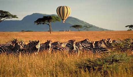 Balloon Safari