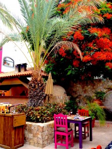 Gourmet dining in Cabo San Lucas