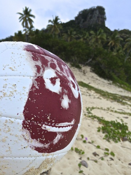 Castaway wilson