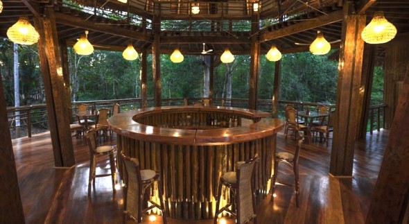 amazon treehouse lodging