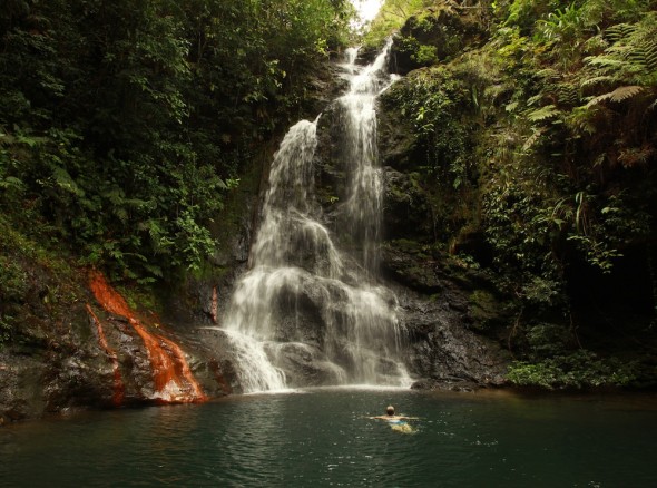 Sanctuary Belize natural environment