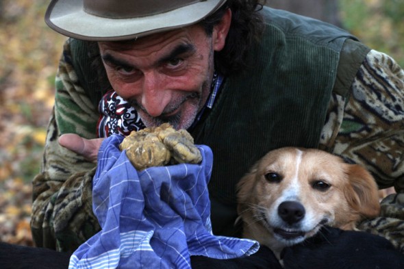 Truffle hunting in Italy