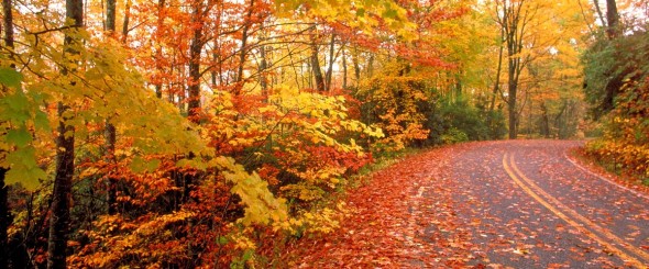 autumn vermont