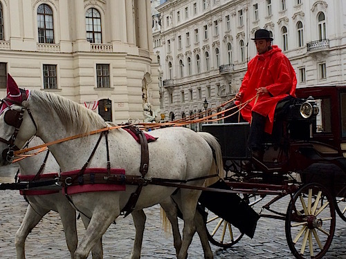Vienna Horse and carriage