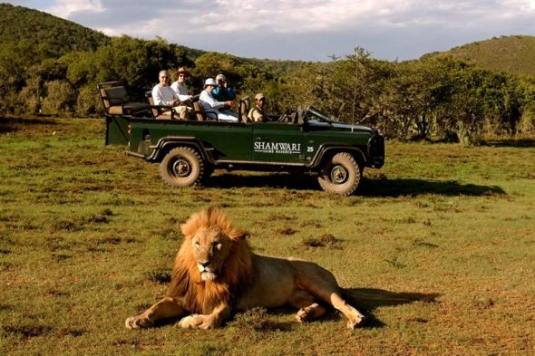 Africa safari