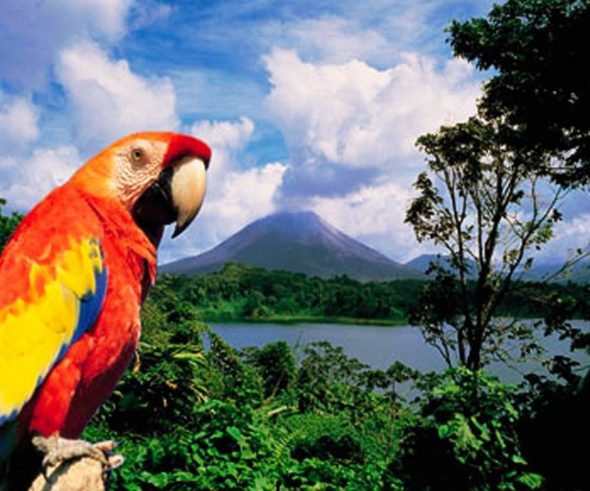 things to do in costa rica