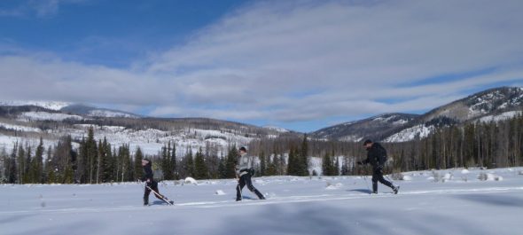 winter snow cross country ski